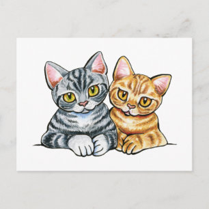 Cartão Postal 2 Shorthairs Americanos