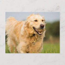 Cartão Postal 34520685_xxl