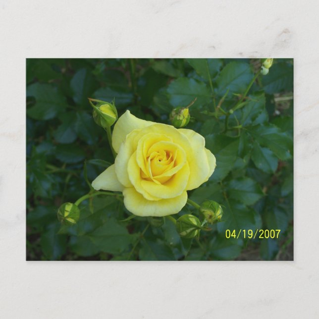 CARTÃO POSTAL 3464 (Frente)