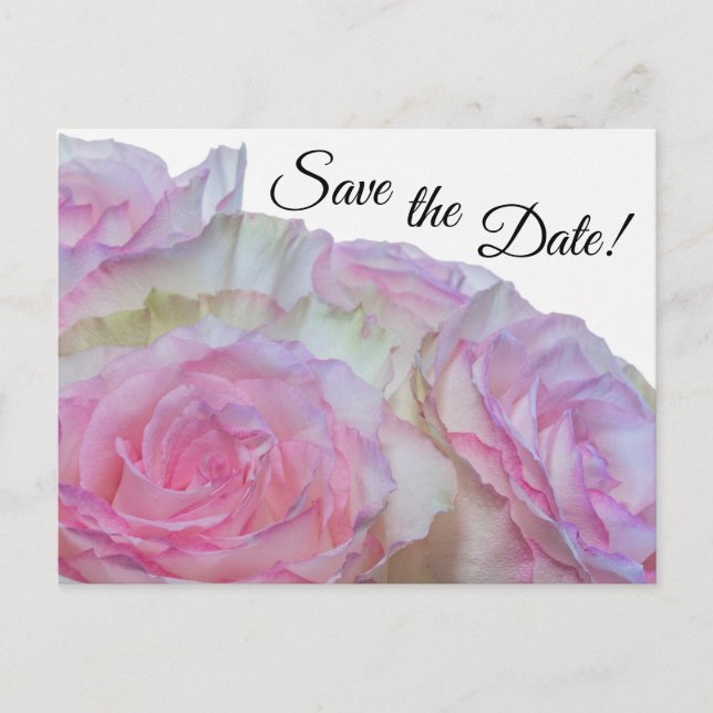 Cartão Postal 3998-Rosas brancas e rosa (Frente)