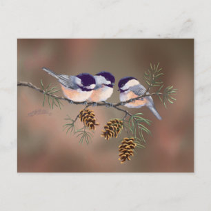 Cartão Postal 3 CHICKADEES & PINE CONESby SHARON SHARPE