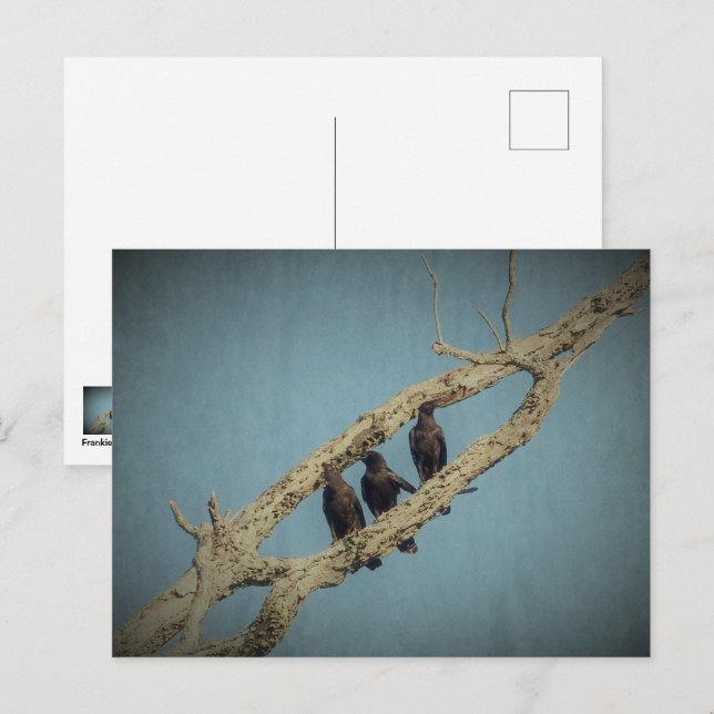 Cartão Postal 3 Corvos (Frente/Verso)