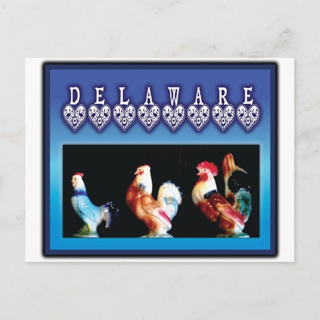 Cartão Postal 3 Delaware Chickens (Frente)