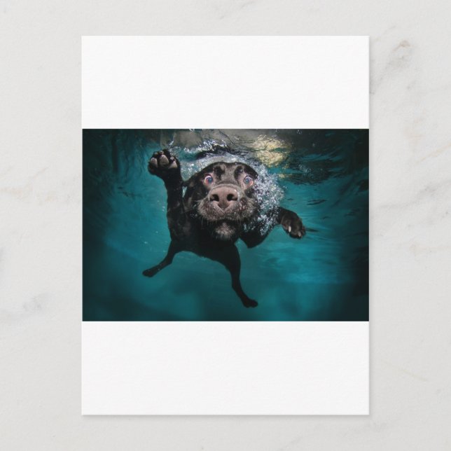 Cartão Postal 3.jpeg (Frente)