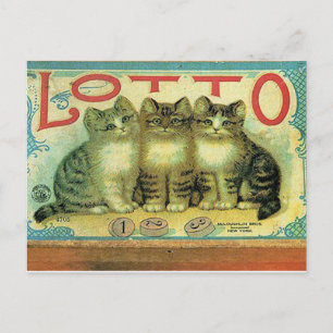 Cartão Postal 45 Animais domésticos