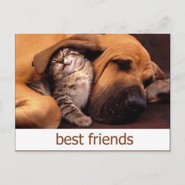 CARTÃO POSTAL 46º (Frente)