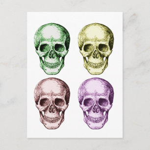 Cartão Postal 4 crânios Face Cores