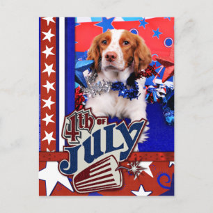Cartão Postal 4 de julho - Brittany Spaniel - Charlie