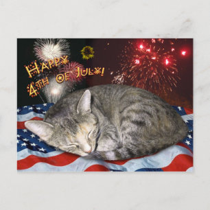 Cartão Postal 4 de julho Cat and Fireworks