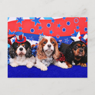Cartão Postal 4 de julho - Cavaleiros - Rosie Poppy SweetPea