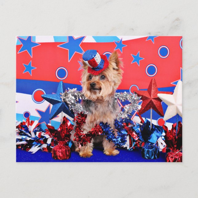 Cartão Postal 4 de julho - Yorkie - Vinnie (Frente)