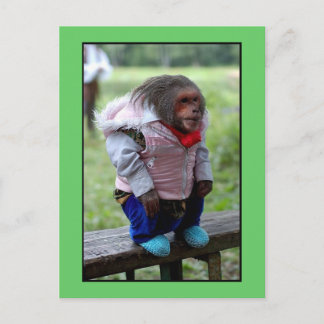 CARTÃO POSTAL 52170