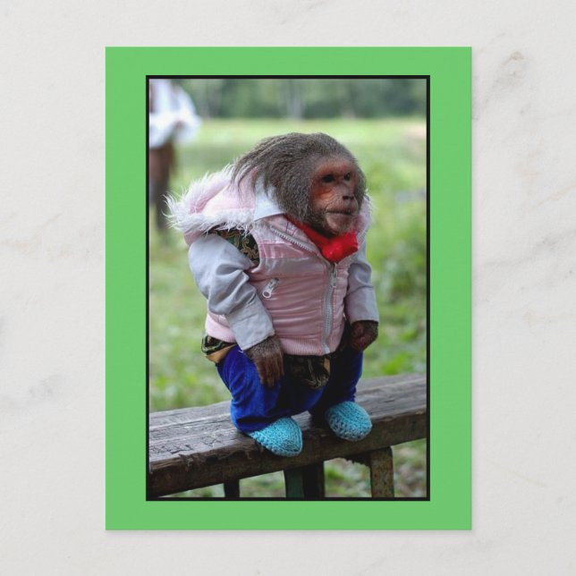 CARTÃO POSTAL 52170 (Frente)