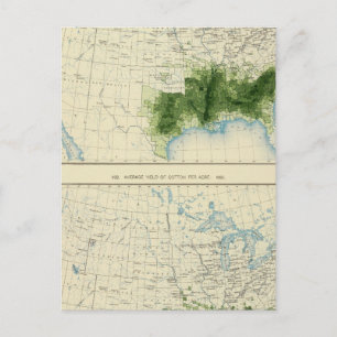 Cartão Postal 52 Algodão 1890