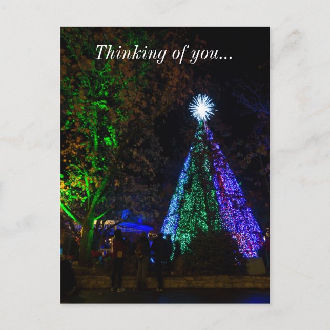 Cartão Postal 5 Estórias Sdc Tree Night (Frente)