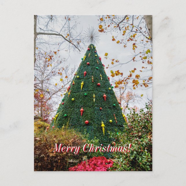 Cartão Postal 5 Story Sdc Tree Christmas Postcard (Frente)