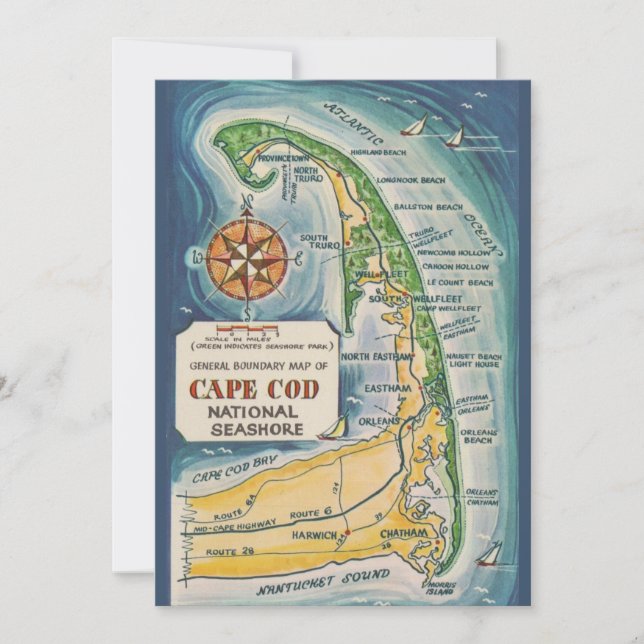 Cartão postal 5x7 de Cape Cod National Seashore (Frente)