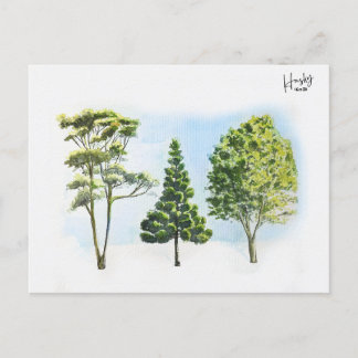 Cartão Postal 63; árvores australianas
