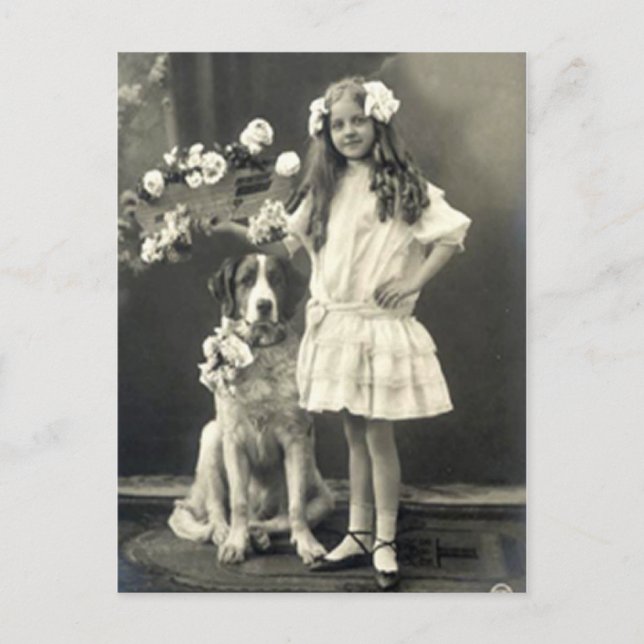 Cartão Postal 67 Animais (Frente)