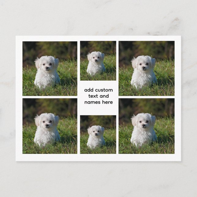 Cartão Postal 6 Colagem de Fotos - Estética em Grade Branca, Mín (Frente)