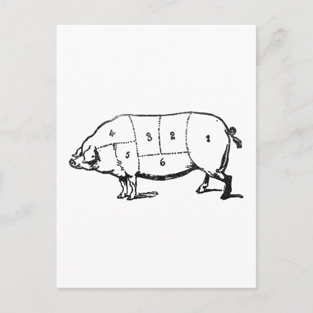 Cartão Postal 6 graus de bacon (Frente)