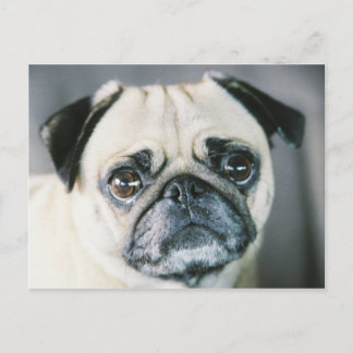 CARTÃO POSTAL 850203-R1-017-7