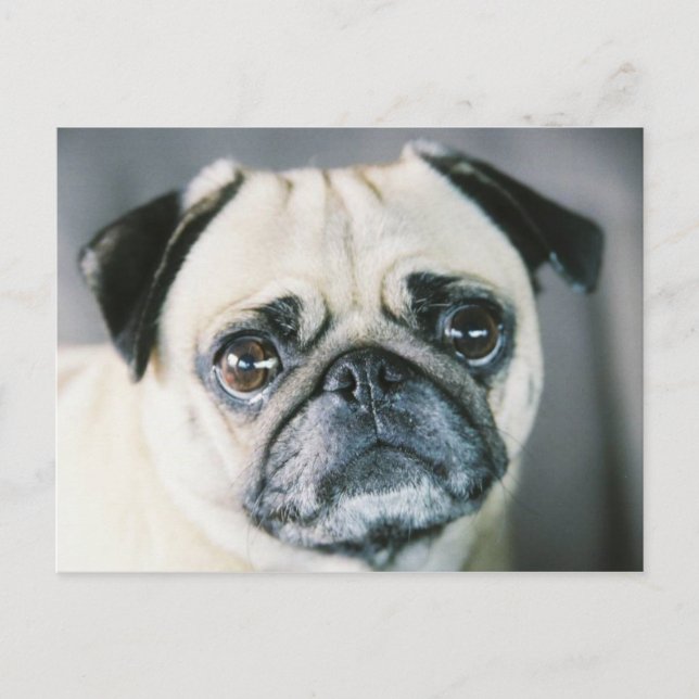 CARTÃO POSTAL 850203-R1-017-7 (Frente)