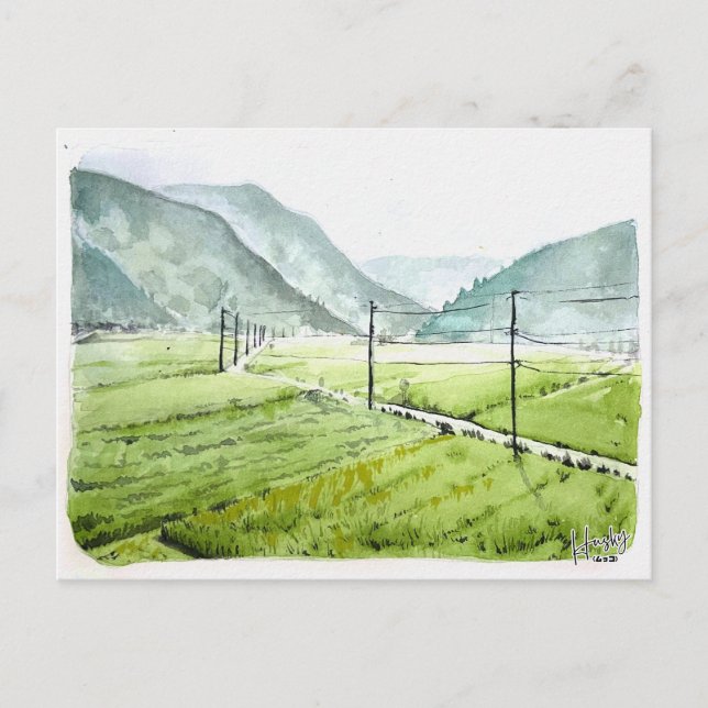 Cartão Postal 86: Campo de arroz matinal (Frente)