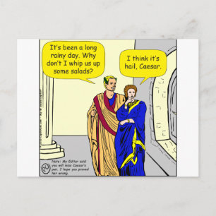 Cartão Postal 902 Cartoon "Eu faço uma salada"