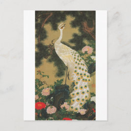 Cartão Postal 9. 老松孔雀図, pinheiro do 若冲 e pavão velhos, Jakuchu