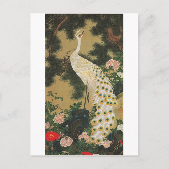 Cartão Postal 9. 老松孔雀図, pinheiro do 若冲 e pavão velhos, Jakuchu (Frente)