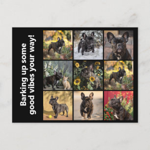 Cartão Postal 9 x imagens + texto