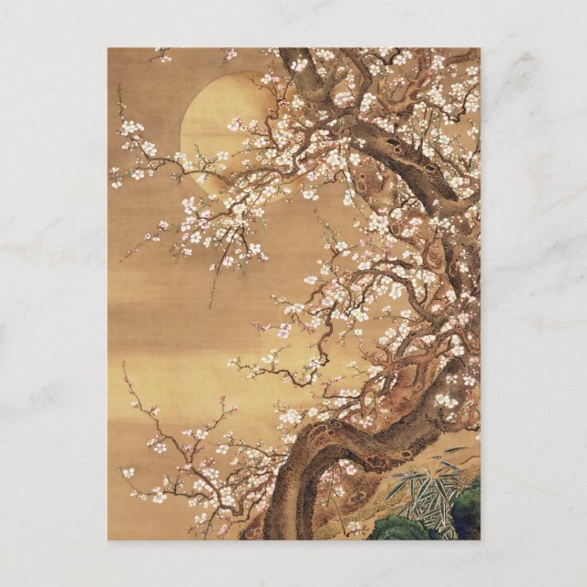 Cartão Postal A ameixa japonesa floresce à lua (Frente)