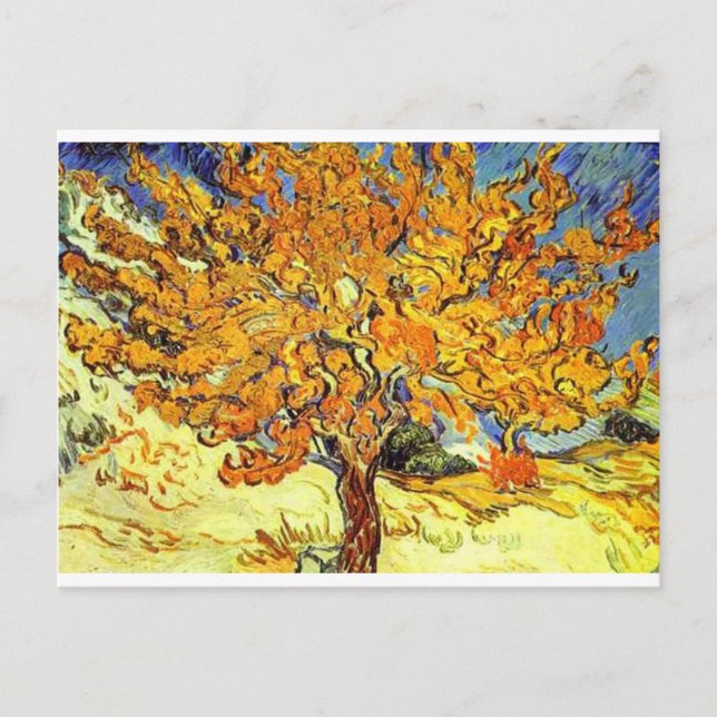 Cartão Postal A Amoreira, Vincent Van Gogh (Frente)