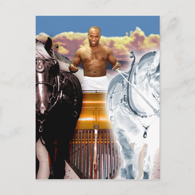 Cartão Postal A Arte Do Cartola (Frente)