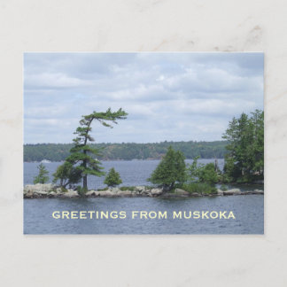 Cartão Postal A árvore curvada, Muskoka, Ontário, Canadá