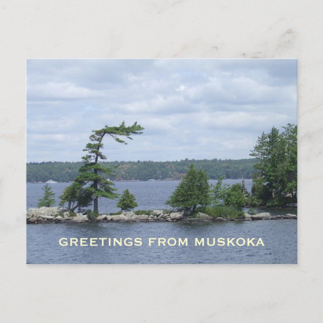 Cartão Postal A árvore curvada, Muskoka, Ontário, Canadá (Frente)