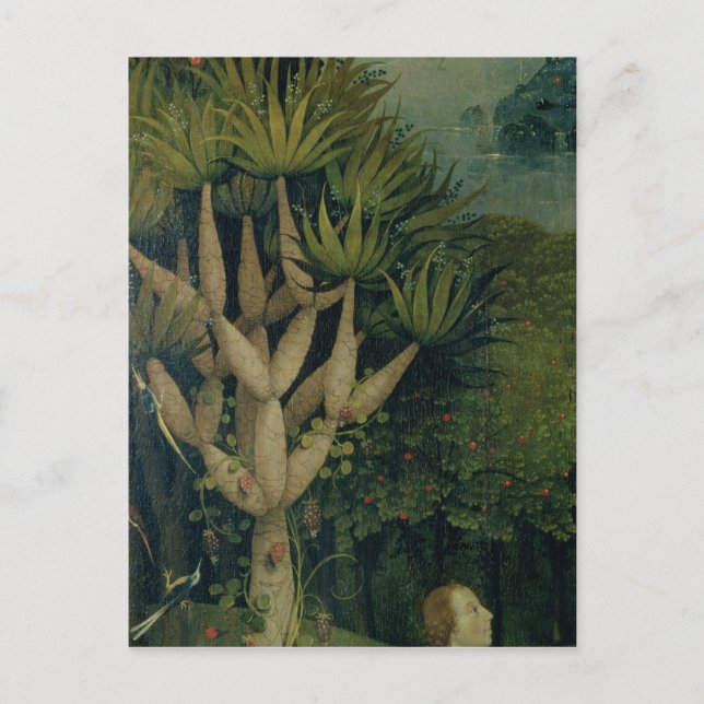 Cartão Postal A árvore do conhecimento do bem e do Mau (Frente)