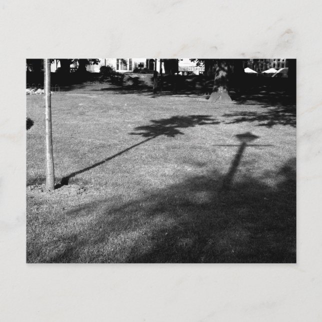 Cartão Postal A Árvore e o Lamppost eram Amigos (Frente)