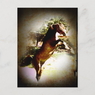 Cartão Postal A Baía Colt