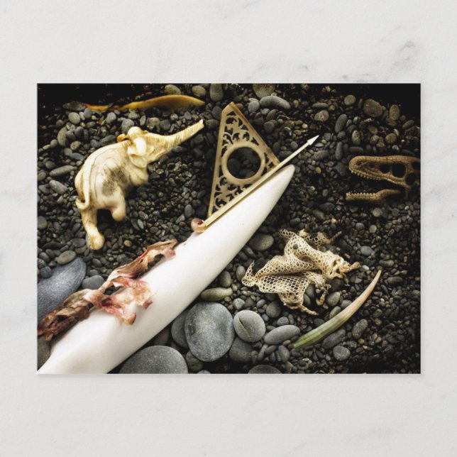 Cartão Postal A Beaching (Frente)