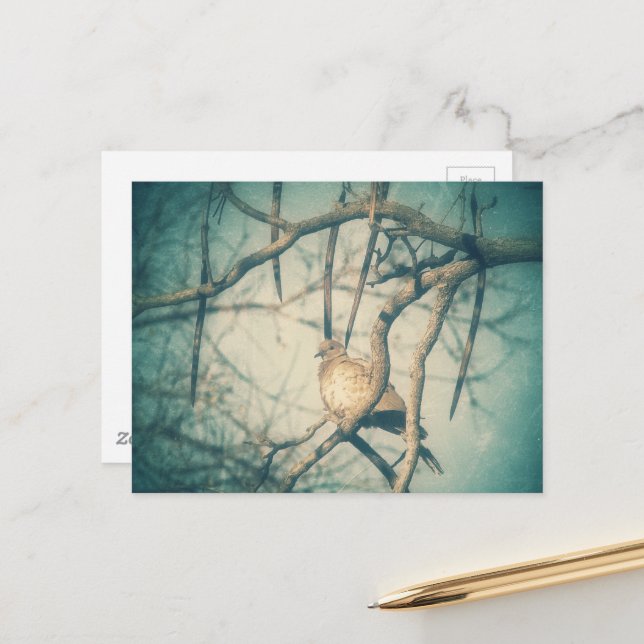 Cartão Postal A beautiful Dove (Frente/Verso In Situ)