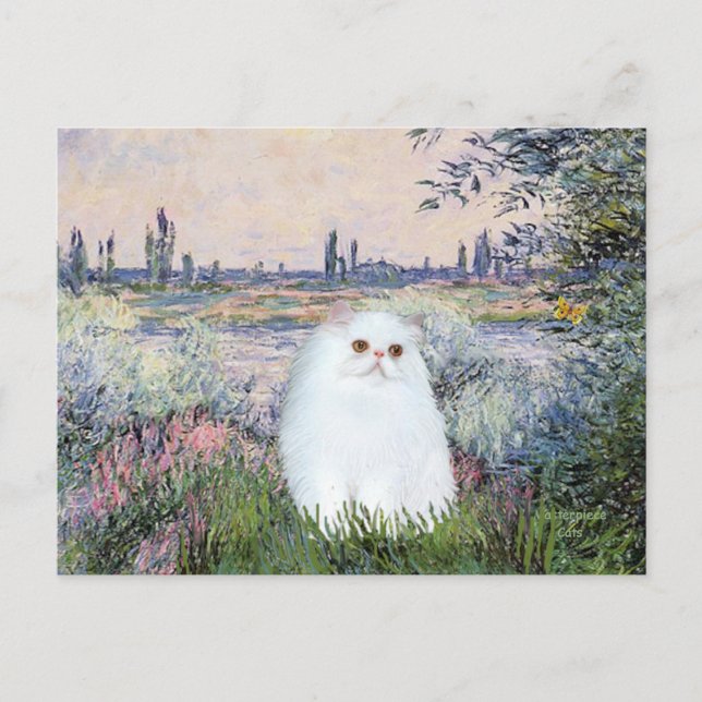Cartão Postal À Beira do Sena - Gatinho Persa Branco #49 (Frente)