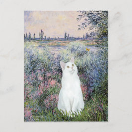 Cartão Postal À beira do Sena - Gato branco