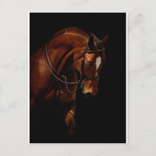 Cartão Postal A Beleza