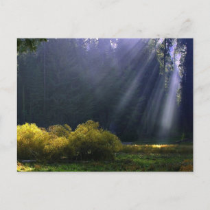 Cartão Postal A Beleza da Mãe Natureza