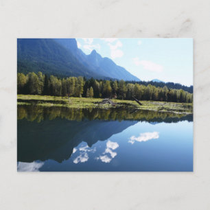 Cartão Postal A Beleza da Natureza Refletida