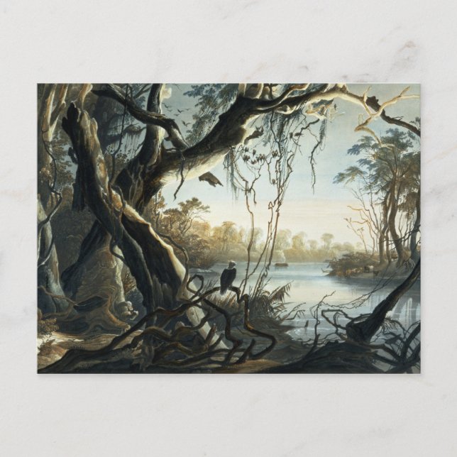 Cartão Postal A Boca do Rio Fox, Indiana, placa 5 de (Frente)