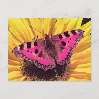 Cartão Postal A borboleta é uma flor voadora