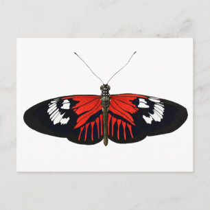 Cartão Postal A Borboleta Vermelha